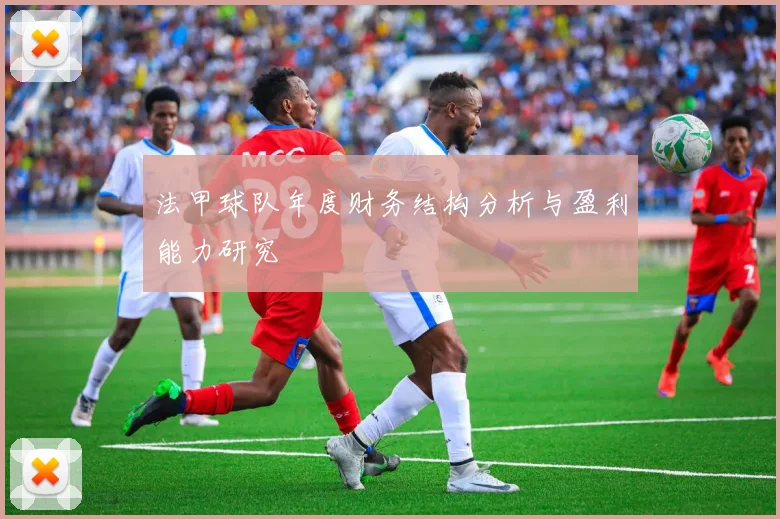 法甲球队年度财务结构分析与盈利能力研究