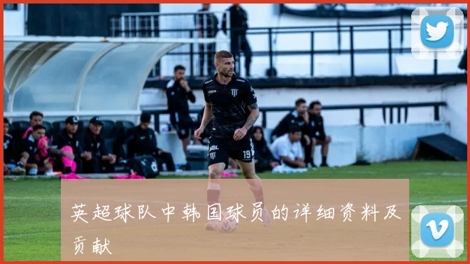 英超球队中韩国球员的详细资料及贡献