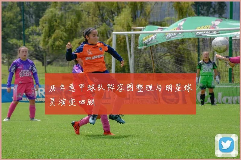 历年意甲球队阵容图整理与明星球员演变回顾