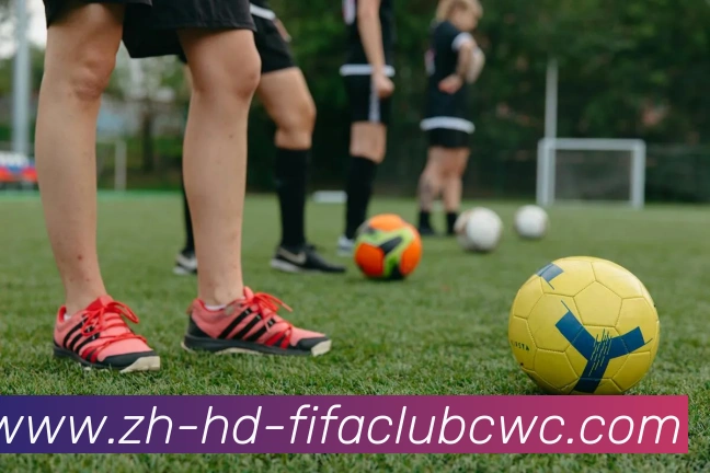 世界杯平台发展历程