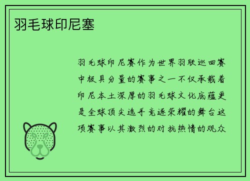 羽毛球印尼塞